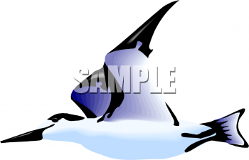 Duck Clipart