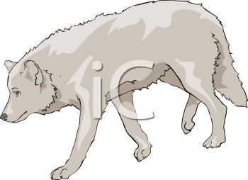Mammal Clipart
