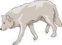 Mammal Clipart