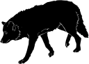 Mammal Clipart