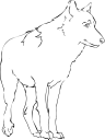 Mammal Clipart