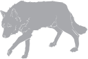 Mammal Clipart