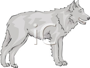 Mammal Clipart