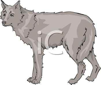 Mammal Clipart