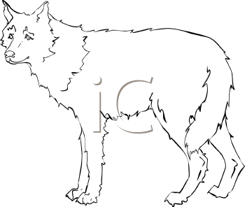 Mammal Clipart
