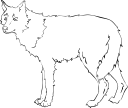Mammal Clipart