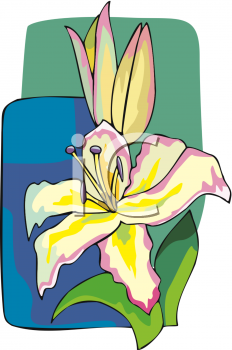 Lily Clipart