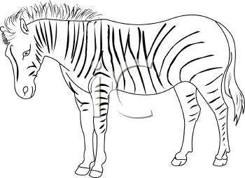 Horse Clipart
