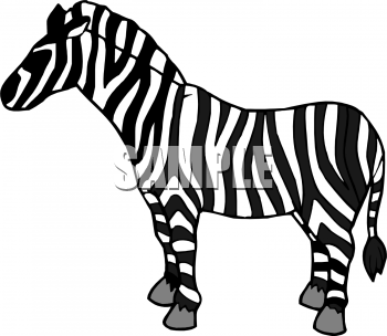 Zebra Clipart