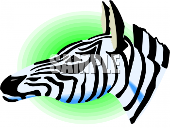Zebra Clipart