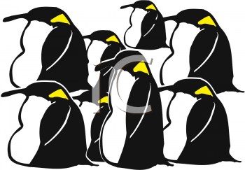 Penguin Clipart