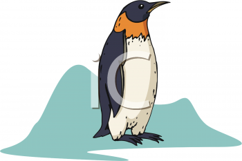 Penguin Clipart