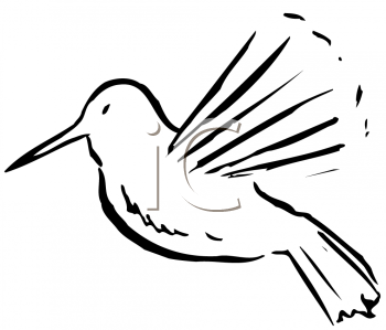 Hummingbird Clipart