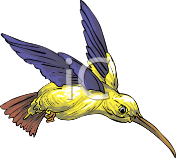 Hummingbird Clipart