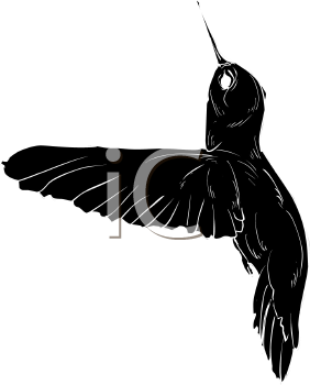 Hummingbird Clipart