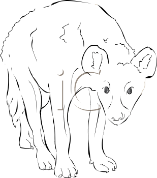 Hyena Clipart