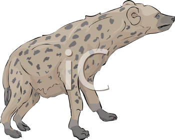 Hyena Clipart