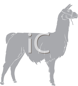 Llama Clipart