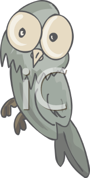 Owl Clipart