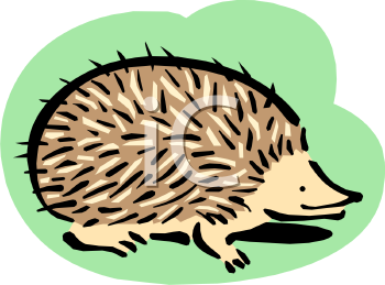 Hedgehog Clipart