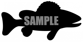 Fish Clipart