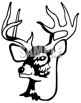 Deer Clipart