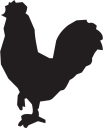 Rooster Clipart