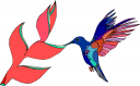 Hummingbird Clipart