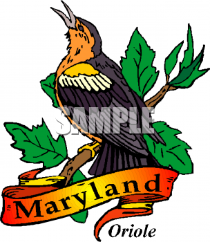 Oriole Clipart