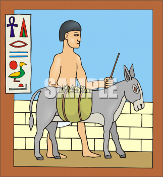 Mule Clipart