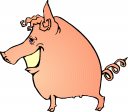 Pig Clipart