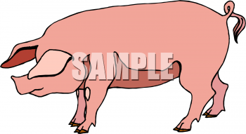 Pig Clipart