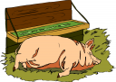 Pig Clipart