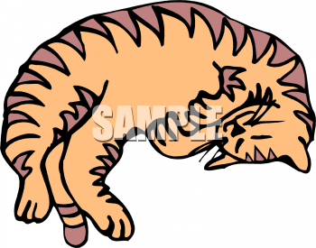 Kitten Clipart