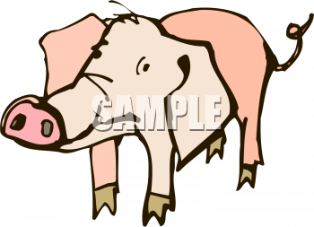 Pig Clipart