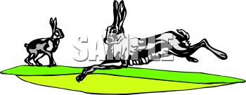 Rabbit Clipart