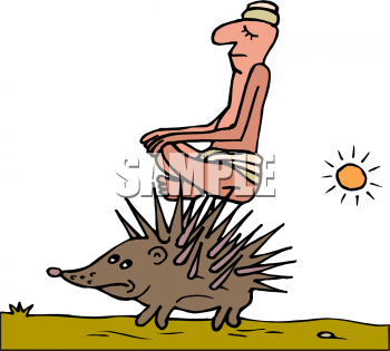 Porcupine Clipart