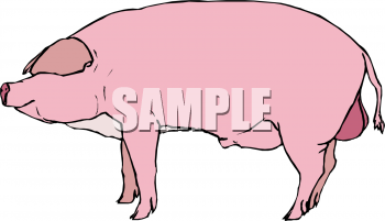 Pig Clipart