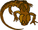 Lizard Clipart