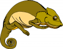 Lizard Clipart