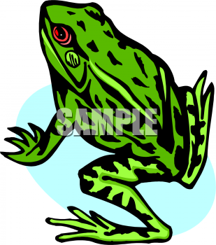 Toad Clipart