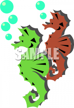 Seahorse Clipart