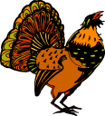 Rooster Clipart