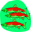 School Clipart