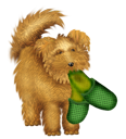 Fathers Day Clipart