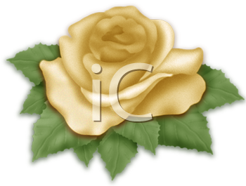 Wedding Clipart
