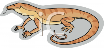 Lizard Clipart