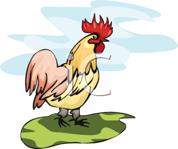 Rooster Clipart