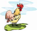 Rooster Clipart