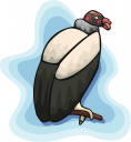 Bird Clipart